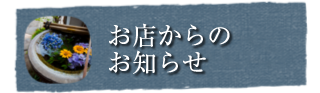 お店からのお知らせ